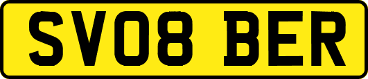 SV08BER