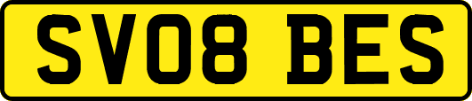SV08BES