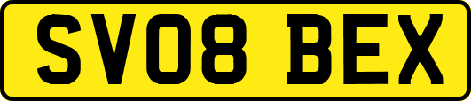 SV08BEX
