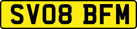 SV08BFM