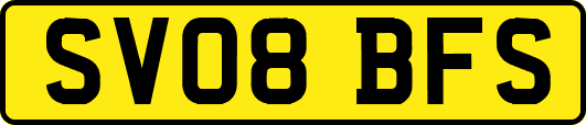 SV08BFS