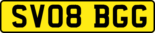 SV08BGG