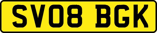 SV08BGK