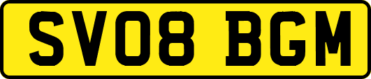 SV08BGM