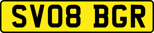 SV08BGR