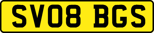 SV08BGS