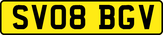 SV08BGV