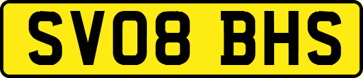 SV08BHS