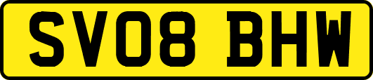 SV08BHW