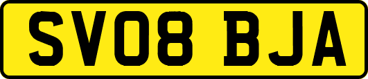 SV08BJA