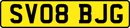 SV08BJG