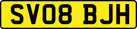 SV08BJH