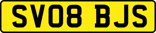 SV08BJS