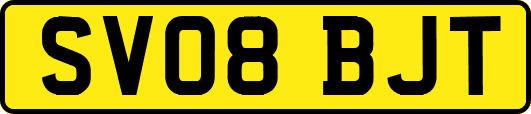 SV08BJT
