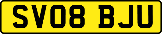 SV08BJU