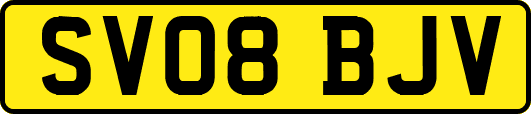 SV08BJV