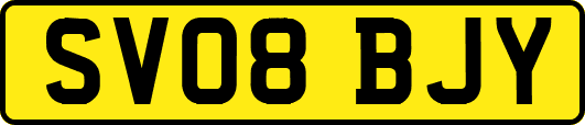 SV08BJY