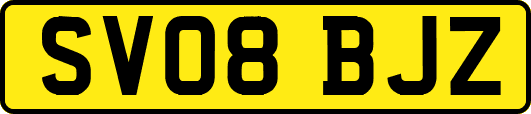 SV08BJZ