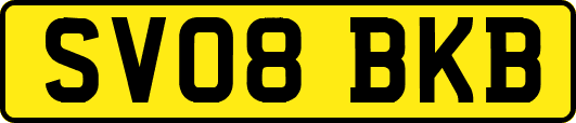 SV08BKB
