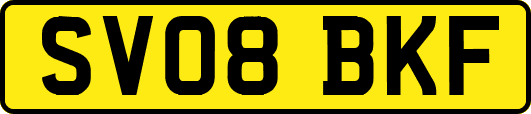 SV08BKF