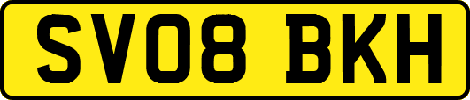 SV08BKH