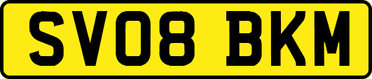 SV08BKM