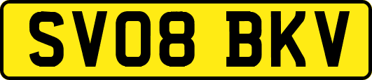 SV08BKV