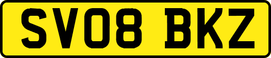 SV08BKZ