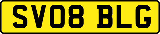 SV08BLG