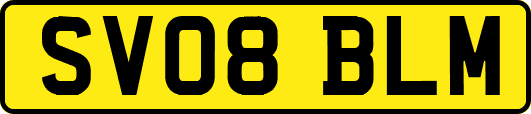SV08BLM