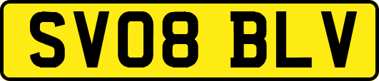 SV08BLV