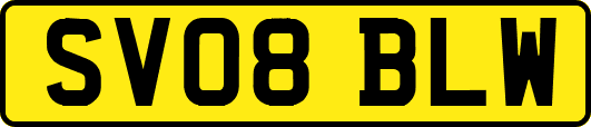 SV08BLW