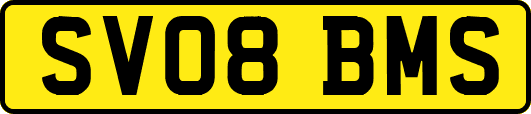 SV08BMS