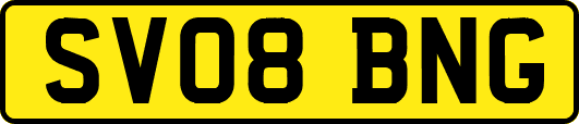 SV08BNG