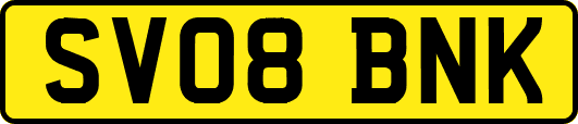 SV08BNK