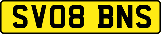 SV08BNS