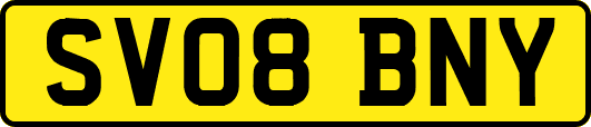 SV08BNY