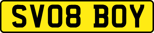SV08BOY