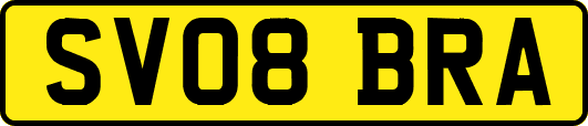 SV08BRA