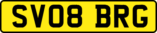 SV08BRG
