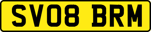 SV08BRM