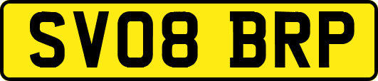 SV08BRP