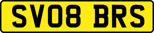 SV08BRS