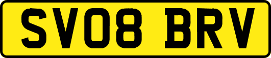 SV08BRV