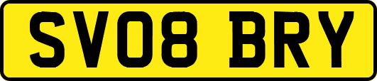 SV08BRY