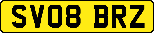 SV08BRZ
