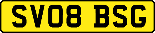 SV08BSG