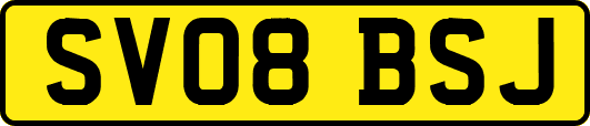SV08BSJ