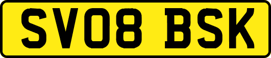 SV08BSK