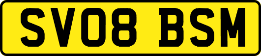 SV08BSM